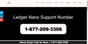 Fake Ledger Nano support number