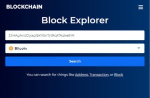 Enter Bitcoin address into Blockchain.com